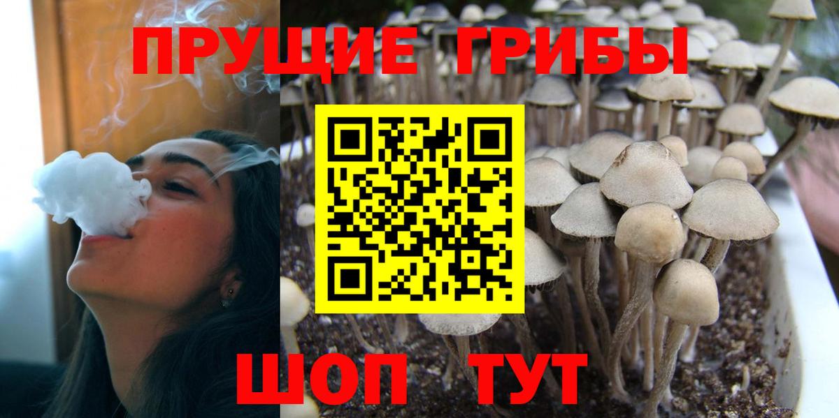 Псилоцибиновые грибы MAGIC MUSHROOMS  Вход с VPN  Вышний Волочёк 